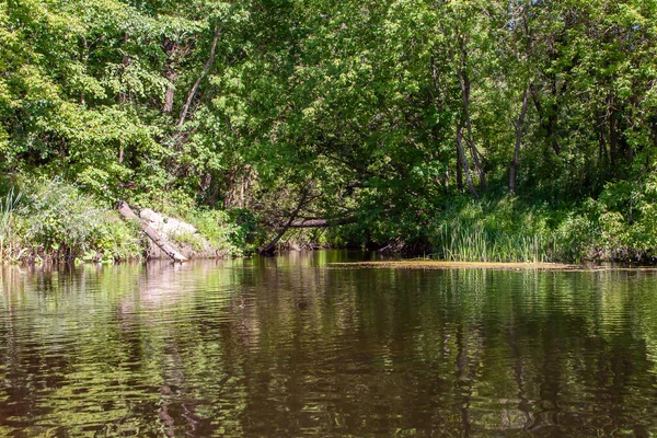 Sonbaharda Psel Nehri.