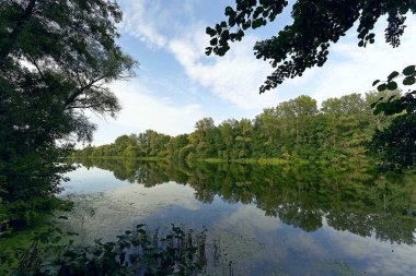 Sonbaharda Psel Nehri.