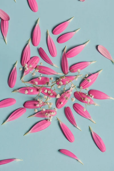 Pembe gerbera pestals beyaz çiçekli mavi backgrond üzerinde