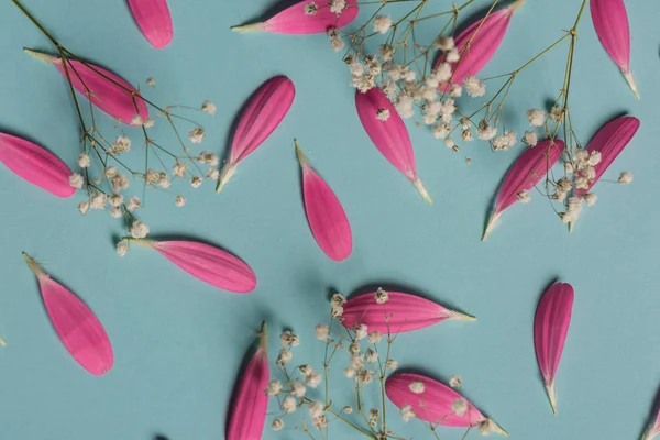 Pembe gerbera pestals beyaz çiçekli mavi backgrond üzerinde