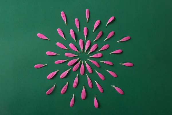 Pembe gerbera pestals yeşil zemin üzerine