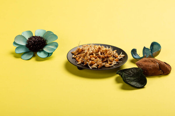 Sprouted seeds on plate on yellow background with flowers