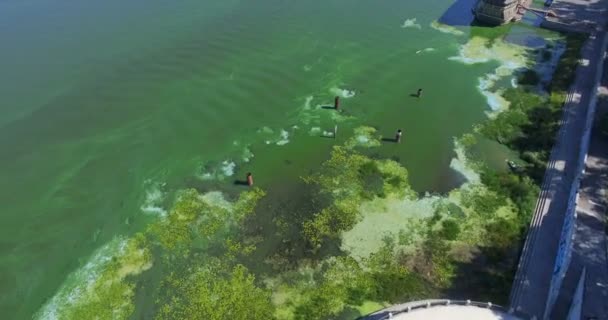 Дрон фотографирует зеленую реку и город — стоковое видео