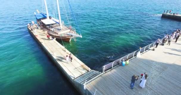 La novia y el novio se encuentran en el puerto — Vídeo de stock