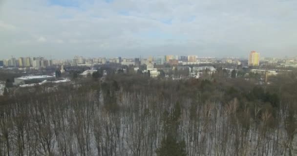 Le vol du drone d'une forêt d'hiver — Video