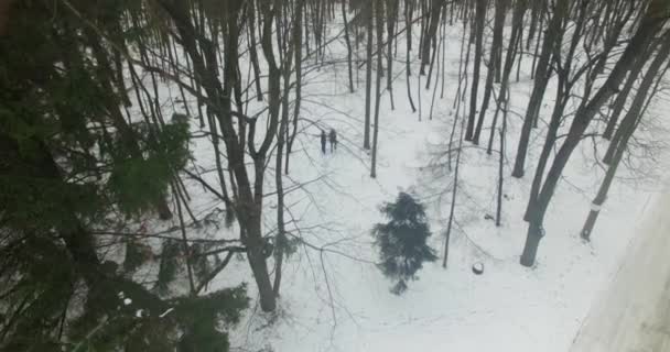 Familia va a dar un paseo en un bosque nevado — Vídeos de Stock