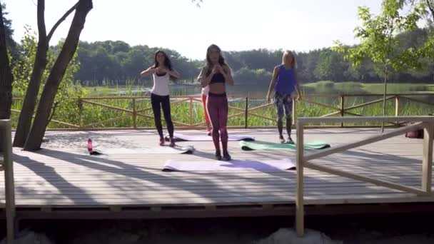 Meninas fazendo exercício na natureza — Vídeo de Stock