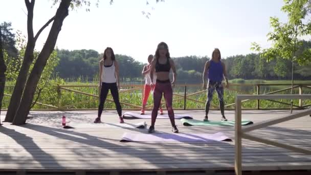 Κορίτσια που κάνει άσκηση στη φύση — Αρχείο Βίντεο