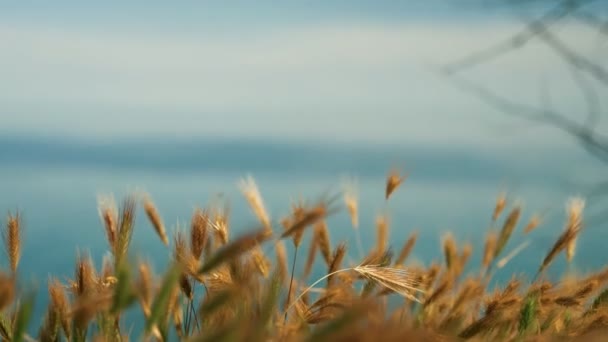 Золотые шпили на фоне синего моря и неба — стоковое видео