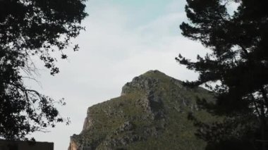 Ağaçların arasındaki yeşil kaya. Sa Calobra, İspanya