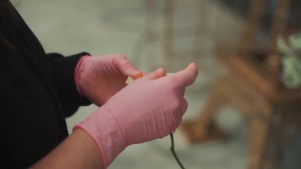 Bloemisten handen onthullen witte roos. Bloemkunstenaar aan het werk — Stockvideo