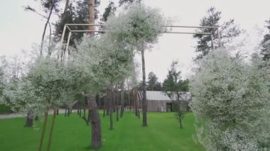 Yeşil çimlerin üzerinde beyazlar içinde düğün kemeri
