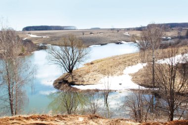 Baharda nehir tarafından ağaç kar erir