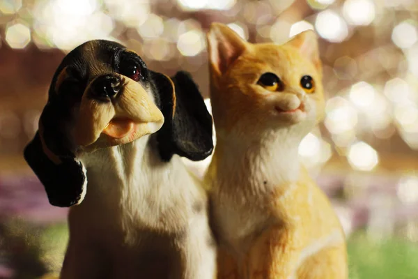 puppy and kitten on bokeh background