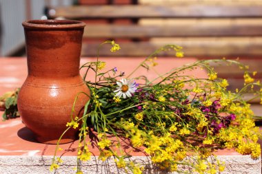 masada bahçede toprak kavanoz ve kır çiçekleri