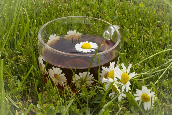 Csésze Kamilla Tea Virágok Fűben — Stock Fotó