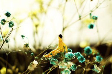 küçük bebek ve kuru çiçekler ile soyut dekorasyon