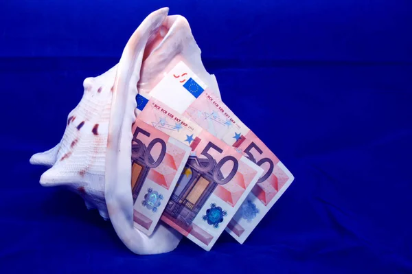 Three denominations in 50 euros are in a sea shell — Stock Photo, Image