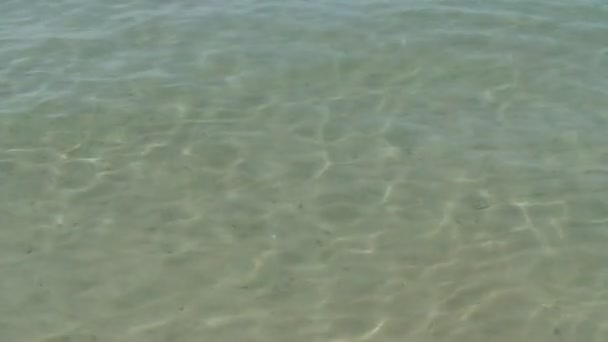 Ondulation brillante de l'eau de mer et paillettes, boucle — Video