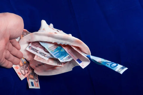 On a blue background the hand moves up the sea shell with the money on 50,20,10, Euro — Stock Photo, Image