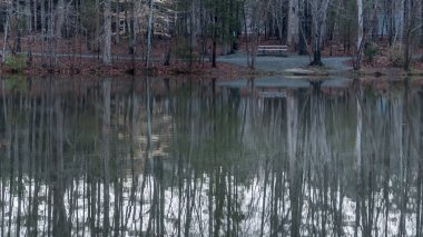 Renkli yaprakları ile kışın gölde boş parkbench
