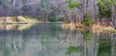 Çıplak ağaçlar ve geç sonbaharda sudaki yansıması ile küçük bir göl