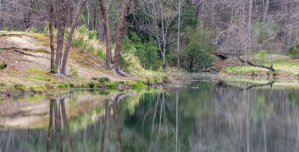 Mulher Andando Através Pequeno Lago Com Árvores Nuas Reflexão Água — Fotografia de Stock