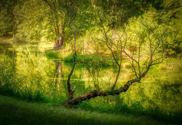 Two People Tree Lake Fishing Surrounded Beautiful Trees — Stock Photo, Image