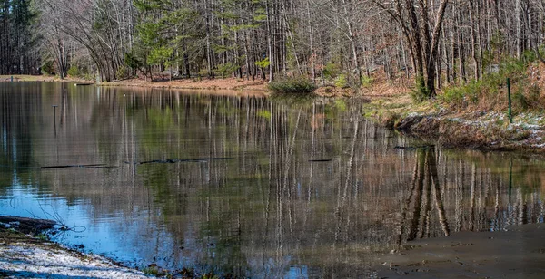 Çıplak Ağaçlar Geç Sonbaharda Sudaki Yansıması Ile Küçük Bir Göl — Stok fotoğraf