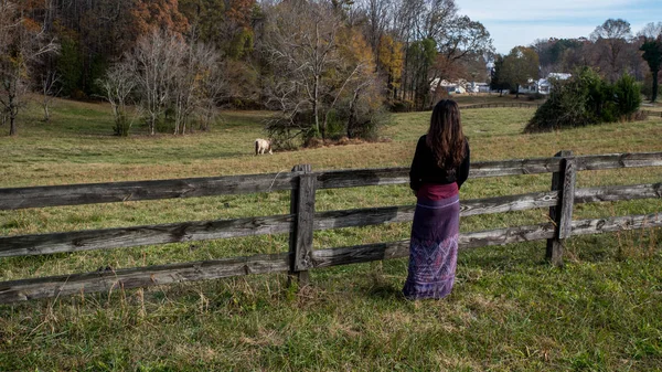 Mujer Sarong Pie Junto Valla Envejecida Mirando Los Caballos — Foto de Stock