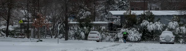 woman walking in deep snow with green and black umbrella and cars covered in snow in parking lot