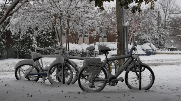 Bicicletas Aparcadas Portabicicletas Cubiertas Nieve — Foto de Stock