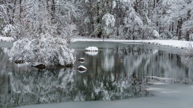Kar fırtınası sonrası gölette kayalar ve ağaçlar la kaplı