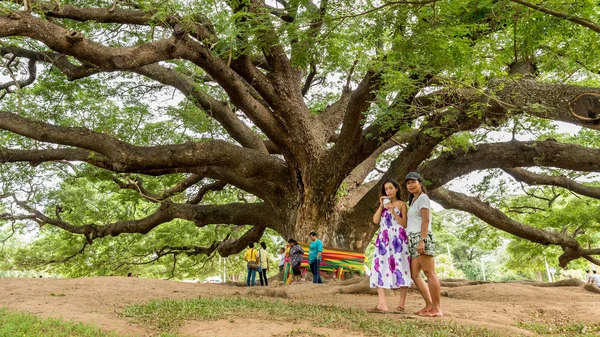 Madre e hija de pie frente al árbol del Monkeypod gigante — Foto de Stock