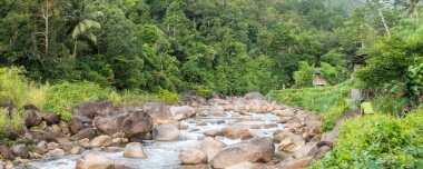 Kiriwong'da yağmur ormanlarından akan nehir