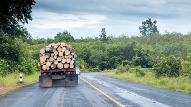 Truck with logs on small highway clipart