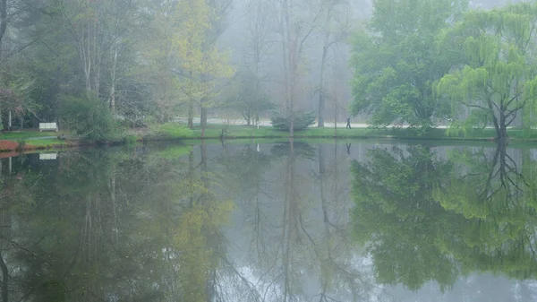 Reflexão de banco e árvores na lagoa — Fotografia de Stock