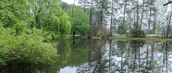 Exuberantes árboles verdes y reflexión sobre el estanque — Foto de Stock