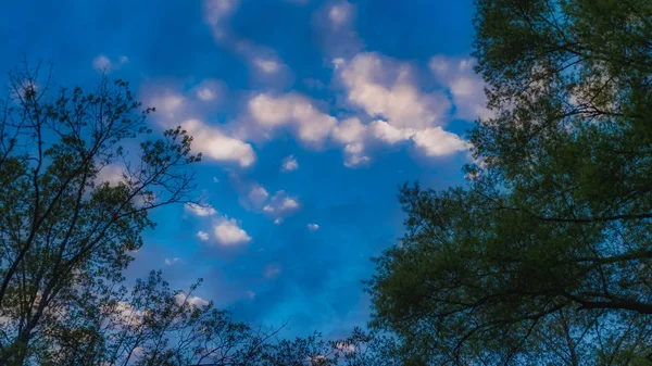 Kék ég puffadt felhők egy napsütéses napon — Stock Fotó