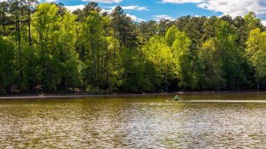Arka planda ağaçlar la göl kürek mürettebat teknede Adam