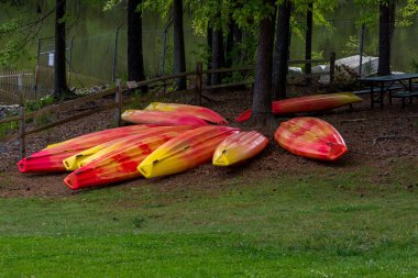 Turuncu ve sarı kanolar baş aşağı saklanır