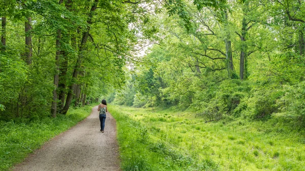 Mujer caminando por el camino a través del bosque — Foto de Stock