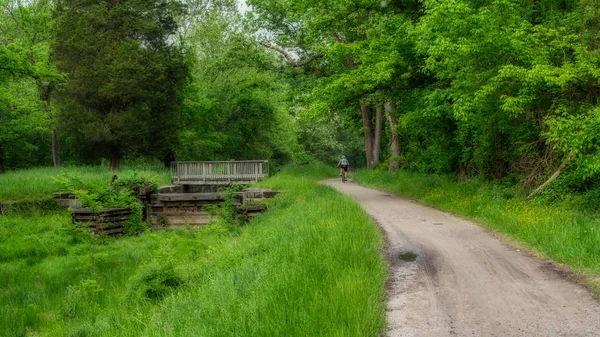 Man riding bicycle on path