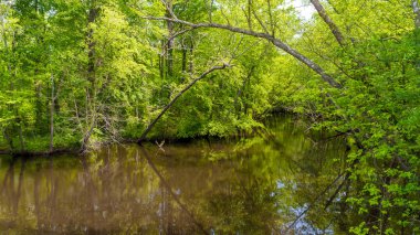 Virginia karayolu kapalı Bataklık nehir
