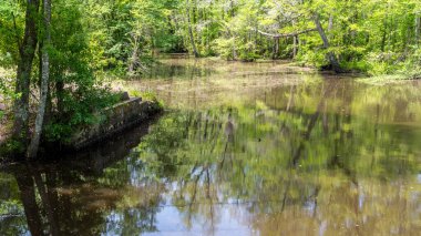 Virginia karayolu kapalı Bataklık nehir