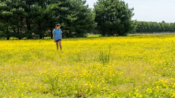 Adolescente chica de pie en gran campo con flores amarillas y árboles — Foto de Stock
