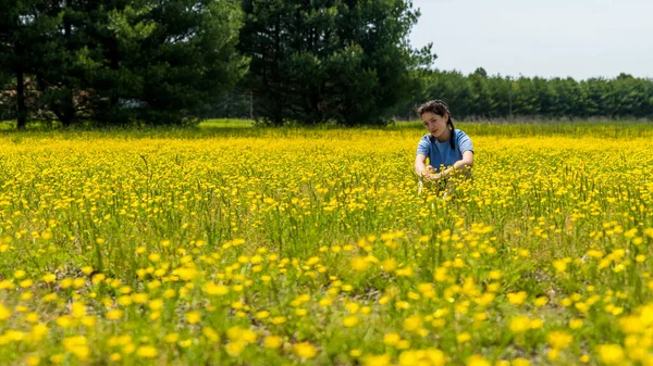 Menina adolescente sentado em grande campo com flores amarelas e árvores i — Fotografia de Stock