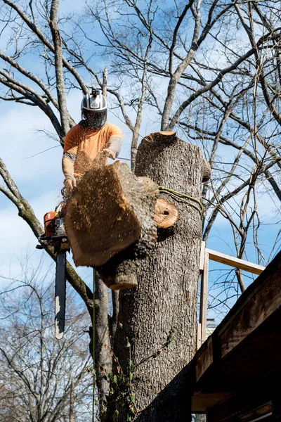 Trabajador Con Motosierra Casco Colgando Cuerda Cortando Árbol — Foto de Stock