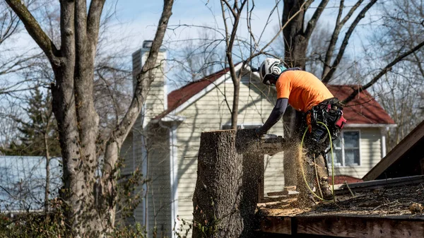 Pracovník Motorovou Pilou Helmou Stojící Střeše Kácející Strom — Stock fotografie