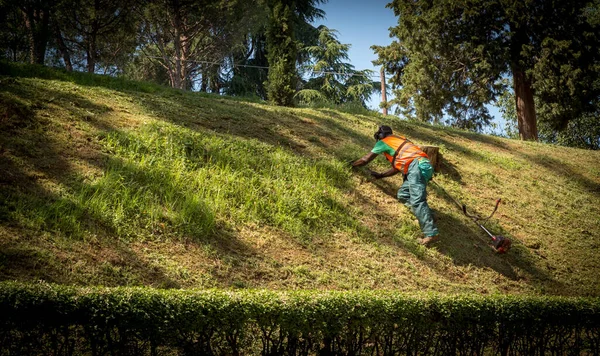Yeşil pantolonlu ve turuncu yelekli işçiler Bologna, İtalya 'da küçük bir tepeye tırmanıyor.